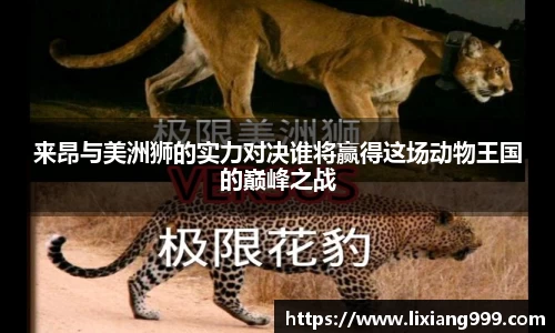 来昂与美洲狮的实力对决谁将赢得这场动物王国的巅峰之战